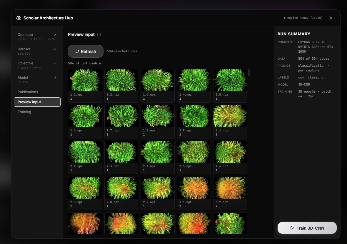 The input preview: every capture with the label it resolved to. Nothing is loaded and nothing is trained, so it stays quick on a large dataset.